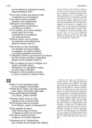 Biblia nuestro pueblo