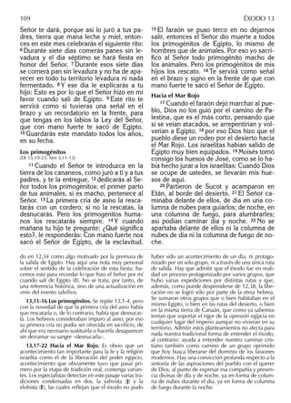 Señor te dará, porque así lo juró a tus pa-
dres, tierra que mana leche y miel, enton-
ces en este mes celebrarás el siguiente rito:
6 Durante siete días comerás panes sin le-
vadura y el día séptimo se hará ﬁesta en
honor del Señor. 7 Durante esos siete días
se comerá pan sin levadura y no ha de apa-
recer en todo tu territorio levadura ni nada
fermentado. 8 Y ese día le explicarás a tu
hijo: Esto es por lo que el Señor hizo en mi
favor cuando salí de Egipto. 9 Este rito te
servirá como si tuvieras una señal en el
brazo y un recordatorio en la frente, para
que tengas en los labios la Ley del Señor,
que con mano fuerte te sacó de Egipto.
10 Guardarás este mandato todos los años,
en su fecha.
Los primogénitos
(Dt 15,19-23; Nm 3,11-13)
11 Cuando el Señor te introduzca en la
tierra de los cananeos, como juró a ti y a tus
padres, y te la entregue, 12 dedicarás al Se-
ñor todos los primogénitos: el primer parto
de tus animales, si es macho, pertenece al
Señor. 13 La primera cría de asno la resca-
tarás con un cordero; si no la rescatas, la
desnucarás. Pero los primogénitos huma-
nos los rescatarás siempre. 14 Y cuando
mañana tu hijo te pregunte: ¿Qué signiﬁca
esto?, le responderás: Con mano fuerte nos
sacó el Señor de Egipto, de la esclavitud.
15 El faraón se puso terco en no dejarnos
salir, entonces el Señor dio muerte a todos
los primogénitos de Egipto, lo mismo de
hombres que de animales. Por eso yo sacri-
ﬁco al Señor todo primogénito macho de
los animales. Pero los primogénitos de mis
hijos los rescato. 16 Te servirá como señal
en el brazo y signo en la frente de que con
mano fuerte te sacó el Señor de Egipto.
Hacia el Mar Rojo
17 Cuando el faraón dejó marchar al pue-
blo, Dios no los guió por el camino de Pa-
lestina, que es el más corto, pensando que
si se veían atacados, se arrepentirían y vol-
verían a Egipto, 18 por eso Dios hizo que el
pueblo diese un rodeo por el desierto hacia
el Mar Rojo. Los israelitas habían salido de
Egipto muy bien equipados. 19 Moisés tomó
consigo los huesos de José, como se lo ha-
bía hecho jurar a los israelitas: Cuando Dios
se ocupe de ustedes, se llevarán mis hue-
sos de aquí.
20 Partieron de Sucot y acamparon en
Etán, al borde del desierto. 21 El Señor ca-
minaba delante de ellos, de día en una co-
lumna de nubes para guiarlos; de noche, en
una columna de fuego, para alumbrarles;
así podían caminar día y noche. 22 No se
apartaba delante de ellos ni la columna de
nubes de día ni la columna de fuego de no-
che.
do en 12,34 como algo motivado por la premura de
la salida de Egipto. Hay aquí una nota muy personal
sobre el sentido de la celebración de esta ﬁesta: ha-
cemos esto para recordar lo que hizo el Señor por mí
cuando salí de Egipto (8). No se trata, por tanto, de
una referencia histórica, sino de una actualización en
«mí» del evento salvíﬁco.
13,11-16 Los primogénitos. Se repite 13,1-4, pero
con la novedad de que la primera cría del asno había
que rescatarla o, de lo contrario, había que desnucar-
la. Los hebreos consideraban impuro al asno, por eso
su primera cría no podía ser ofrecida en sacriﬁcio, de
ahí que era necesario sustituirla o hacerla desaparecer
sin derramar su sangre –desnucarla–.
13,17-22 Hacia el Mar Rojo. Es obvio que un
acontecimiento tan importante para la fe y la religión
israelita como el de la liberación del poder egipcio,
acontecimiento que obviamente tuvo que pasar pri-
mero por la etapa de tradición oral, contenga varian-
tes. Los especialistas detectan en este pasaje varias tra-
diciones condensadas en dos, la yahvista (J) y la
elohista (E), las cuales reﬂejan que el éxodo no pudo
haber sido un acontecimiento de un día, ni protago-
nizado por un solo grupo, ni a través de una única ruta
de salida. Hay que admitir que el éxodo fue en reali-
dad un proceso protagonizado por varios grupos, que
hubo varias expediciones por distintas rutas y que,
además, como puede desprenderse de 12,38, la libe-
ración no se logró sólo por parte de la etnia hebrea.
Se sumaron otros grupos que o bien habitaban en el
mismo Egipto, o bien en las rutas del desierto, o bien
en la misma tierra de Canaán, que como ya sabemos
tenían que soportar el rigor de la opresión egipcia en
cualquier lugar del imperio aunque no vivieran en su
territorio. Admitir estos planteamientos no afecta para
nada nuestra tradicional forma de entender el éxodo,
al contrario: ayuda a entender nuestro caminar cris-
tiano también como camino de un grupo oprimido
que hoy busca liberarse del dominio de los faraones
modernos. Hay una convicción profunda respecto a la
sintonía de las aspiraciones del pueblo con el querer
de Dios, al punto de expresar esa compañía y presen-
cia divinas de día y de noche, ya en forma de colum-
na de nubes durante el día, ya en forma de columna
de fuego durante la noche.
109 ÉXODO 13
 