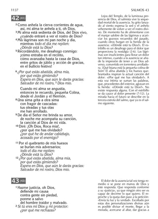 Biblia nuestro pueblo