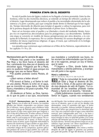 Murmuraciones por la carencia de agua
22 Moisés hizo partir a los israelitas del
Mar Rojo y los llevó hacia el desierto del
Sur; caminando tres días por el desierto sin
encontrar agua, 23 llegaron por ﬁn a Mará,
pero no pudieron beber el agua porque era
amarga –por eso se llama Mará–.
24 El pueblo protestó contra Moisés, di-
ciendo:
–¿Qué vamos a beber ahora?
25 Él invocó al Señor, y el Señor le indi-
có una planta; Moisés la echó en el agua,
que se convirtió en agua dulce. Allí les dio
leyes y mandatos y los puso a prueba, 26 di-
ciéndoles:
–Si obedecen al Señor, su Dios, hacien-
do lo que es justo a sus ojos, escuchando
sus mandatos y cumpliendo sus leyes, no
les enviaré las enfermedades que he envia-
do a los egipcios, porque yo soy el Señor,
que te sana.
27 Llegaron a Elim, donde había doce
manantiales y setenta palmeras, y acampa-
ron allí junto a las aguas.
Maná y codornices
(Nm 11; Sal 78,15s; 106,13-15; Sab 16,20-29)
1 Toda la comunidad de Israel partió
de Elim y llegó al desierto de Sin,
entre Elim y Sinaí, el día quince del segun-
do mes después de salir de Egipto. 2 La co-
munidad de los israelitas protestó contra
Moisés y Aarón en el desierto, 3 diciendo:
–¡Ojalá hubiéramos muerto a manos del
Señor en Egipto, cuando nos sentábamos
16
15,22-27 Murmuraciones por la carencia de
agua. Todavía con el sabor de la victoria, los israelitas
guiados por Moisés emprenden una primera etapa
por el desierto, marco propicio para establecer hasta
qué punto el grupo de liberados está o no preparado
para asumir su vida como quien tiene que empezar a
vivir el don de la liberación. El relato subraya el hecho
de que el pueblo encuentra agua pero no la puede
beber, ante lo cual la queja no se hace esperar. No co-
nocemos los términos de la queja; el hecho es que
Moisés clama al Señor, quien responde indicándole la
manera de transformar el agua salobre en agua dulce.
No se trata de un milagro, se trata más bien de una
costumbre antigua de los campesinos, quienes aplica-
ban pedazos de cactus al agua salobre, los cuales ab-
sorbían instantáneamente la sal y permitían el consu-
mo del líquido. Este incidente subraya la asistencia di-
vina en el desierto, pues ni aún en los detalles más
elementales, como el suministro del agua, el Señor
descuida a su pueblo. Subraya también el aspecto ge-
neroso del Señor que proporciona lo elemental para
vivir. Hay una conexión entre el agua como elemento
esencial, pero indispensable para vivir, y las leyes y
mandatos que da el Señor, cuyo cumplimiento garan-
tizará siempre la vida y la salud del pueblo (25s) como
anticipo del bienestar que le trae el cumplimiento de
las leyes divinas. Termina esta primera etapa en un pa-
radisíaco lugar provisto con «doce manantiales y se-
tenta palmeras», donde acamparon (27).
16,1-36 Maná y codornices. «Dos meses y medio»
después de salir de Egipto se presenta una protesta
por parte del pueblo. El rigor del desierto, la carencia
113 ÉXODO 16
PRIMERA ETAPA EN EL DESIERTO
Ya está el pueblo fuera de Egipto y todavía no ha llegado a la tierra prometida. Entre las dos
fronteras, entre los dos momentos decisivos, se extiende un tiempo de reﬂexión y prueba en
el desierto. Lugar desamparado que reduce al pueblo a las necesidades elementales de la sub-
sistencia y lo pone a prueba, para que conquiste desde dentro la libertad que le han regala-
do. Tiempo intermedio de dilación para templar el aguante y cultivar la esperanza, para vivir
de la promesa después de haber experimentado el primer favor: la liberación.
Nace así un forcejeo entre el pueblo y su Libertador a través del mediador Moisés, force-
jeo rico en experiencias aleccionadoras para los protagonistas y sus descendientes. También
esta etapa se convierte en modelo de futuras peregrinaciones por otros desiertos, a la con-
quista de la libertad y la esperanza. Por su carácter elemental, los sucesos despliegan un valor
simbólico de futuras experiencias religiosas: el agua, el maná, que culminarán en la teología
simbólica del evangelista Juan.
Los episodios que comienzan aquí continúan en el libro de los Números, especialmente en
los capítulos 11–16 y 20.
 