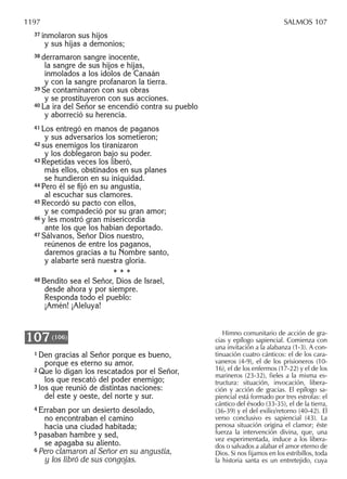 Biblia nuestro pueblo