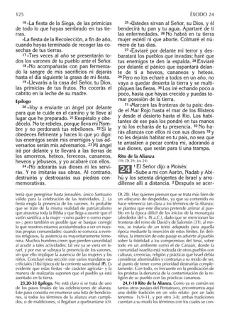 16 »La ﬁesta de la Siega, de las primicias
de todo lo que hayas sembrado en tus tie-
rras.
»La ﬁesta de la Recolección, a ﬁn de año,
cuando hayas terminado de recoger las co-
sechas de tus tierras.
17 »Tres veces al año se presentarán to-
dos los varones de tu pueblo ante el Señor.
18 »No acompañarás con pan fermenta-
do la sangre de mis sacriﬁcios ni dejarás
hasta el día siguiente la grasa de mi ﬁesta.
19 »Llevarás a la casa del Señor, tu Dios,
las primicias de tus frutos. No cocerás el
cabrito en la leche de su madre.
Epílogo
20 –Voy a enviarte un ángel por delante
para que te cuide en el camino y te lleve al
lugar que he preparado. 21 Respétalo y obe-
décelo. No te rebeles, porque lleva mi Nom-
bre y no perdonará tus rebeliones. 22 Si le
obedeces ﬁelmente y haces lo que yo digo:
tus enemigos serán mis enemigos y tus ad-
versarios serán mis adversarios. 23 Mi ángel
irá por delante y te llevará a las tierras de
los amorreos, heteos, fereceos, cananeos,
heveos y jebuseos, y yo acabaré con ellos.
24 »No adorarás sus dioses ni les servi-
rás. Y no imitarás sus obras. Al contrario,
destruirás y destrozarás sus piedras con-
memorativas.
25 »Ustedes sirvan al Señor, su Dios, y él
bendecirá tu pan y tu agua. Apartaré de ti
las enfermedades. 26 No habrá en tu tierra
mujer estéril ni que aborte. Colmaré el nú-
mero de tus días.
27 »Enviaré por delante mi terror y des-
baratará los pueblos que invadas; haré que
tus enemigos te den la espalda. 28 Enviaré
por delante el pánico que espantará delan-
te de ti a heveos, cananeos y heteos.
29 Pero no los echaré a todos en un año, no
vaya a quedar desierta la tierra y se multi-
pliquen las ﬁeras. 30 Los iré echando poco a
poco, hasta que hayas crecido y puedas to-
mar posesión de la tierra.
31 »Marcaré las fronteras de tu país: des-
de el Mar Rojo hasta el mar de los ﬁlisteos
y desde el desierto hasta el Río. Los habi-
tantes de ese país los pondré en tus manos
y tú los echarás de tu presencia. 32 No ha-
rás alianzas con ellos ni con sus dioses 33 y
no les dejarás habitar en tu país, no sea que
te arrastren a pecar contra mí, adorando a
sus dioses, que serán para ti una trampa.
Rito de la Alianza
(19; Dt 29; Jos 24)
1 El Señor dijo a Moisés:
–Sube a mí con Aarón, Nadab y Abi-
hú y los setenta dirigentes de Israel y arro-
díllense allí a distancia. 2 Después se acer-
24
tenía que peregrinar hasta Jerusalén, único Santuario
válido para la celebración de las festividades. 2. La
ﬁesta exigía la presencia de los varones. Es probable
que se trate de la misma realidad de patriarcalismo
que atraviesa toda la Biblia y que llega a asumir que el
varón santiﬁca a la mujer –como padre o como espo-
so–; pero también es posible que se busque corregir
lo que nosotros estamos acostumbrados a ver en nues-
tras propias comunidades: cuando se convoca a even-
tos religiosos, la asistencia es mayoritariamente feme-
nina. Muchos hombres creen que pierden varonilidad
al acudir a tales actividades; tal vez ya se viera en Is-
rael, y por eso se subraya la presencia de los varones,
sin que ello implique la ausencia de las mujeres y los
niños. Concluye esta sección con varios mandatos sa-
criﬁciales (18s) típicos de la corriente sacerdotal (P). Es
evidente que estas ﬁestas –de carácter agrícola– y la
manera de realizarlas suponen que el pueblo ya está
asentado en la tierra.
23,20-33 Epílogo. No está claro si se trata de uno
de los pasos ﬁnales de las celebraciones de alianza.
Este paso consistía en enumerar una lista de bendicio-
nes, si todos los términos de la alianza eran cumpli-
dos, o de maldiciones, si llegaban a quebrantarse (cfr.
Dt 28). Hay quienes piensan que se trata más bien de
un «discurso de despedida», ya que su contenido no
hace referencia tan clara a los términos de la Alianza;
se plantea que este discurso pretende animar al pue-
blo en la época difícil de los inicios de la monarquía
(alrededor del s. IX a.C.), dado que se mencionan las
fronteras del reino de David y de Salomón (31); al me-
nos, se trataría de un texto adaptado para aquella
época mediante la inserción de estos límites. En deﬁ-
nitiva, la intención de este pasaje es advertir al pueblo
sobre la ﬁdelidad a los compromisos del Sinaí, sobre
todo en un ambiente como el de Canaán, donde la
comunidad israelita está rodeada de otros pueblos con
culturas, creencias, religión y prácticas que Israel debía
considerar abominables y contrarias a su modo de ser,
al punto de tener como prioridad destruirlas comple-
tamente. Con todo, es frecuente en la predicación de
los profetas la denuncia de la contaminación de la re-
ligión de su pueblo con las prácticas cananeas.
24,1-18 Rito de la Alianza. Como ya es común en
tantos otros pasajes del Pentateuco, encontramos aquí
una doble tradición en un solo relato: por un lado
tenemos 1s.9-11, y por otro 3-8; ambas tradiciones
cuentan a su modo los términos con los cuales se con-
125 ÉXODO 24
 