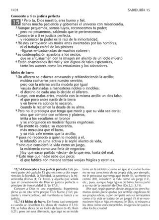 Biblia nuestro pueblo