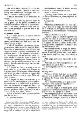 –Así dice Balac, hijo de Sipor: No re-
húses venir a verme, 17 porque te haré muy
rico y haré todo lo que me digas. Ven, por
favor, a maldecir a este pueblo.
18 Balaán respondió a los ministros de
Balac:
–Aunque me diera su palacio lleno de
oro y plata, yo no podría quebrantar el
mandato del Señor, mi Dios, ni poco ni mu-
cho. 19 Por tanto, quédense aquí esta no-
che, hasta que sepa lo que me dice el Se-
ñor esta vez.
La burra de Balaán
20 Dios vino de noche a donde estaba
Balaán y le dijo:
–Ya que esos hombres han venido a lla-
marte, levántate y vete con ellos; pero ha-
rás lo que yo te diga.
21 Balaán se levantó de mañana, apare-
jó la borrica y se fue con los jefes de Moab.
22 Al verlo ir, se encendió la ira de Dios, y el
ángel del Señor se plantó en el camino ha-
ciéndole frente. Él iba montado en la borri-
ca, acompañado de dos criados. 23 La bo-
rrica, al ver al ángel del Señor plantado en
el camino, con la espada desenvainada en
la mano, se desvió del camino y tiró por el
campo. Pero Balaán la castigó para volver-
la al camino.
24 El ángel del Señor se colocó en un
paso estrecho, entre viñas, con dos cercas
a ambos lados. 25 La borrica, al ver al ángel
del Señor, se arrimó a la cerca, y apretó la
pierna de Balaán contra la tapia. Él la vol-
vió a golpear.
26 El ángel del Señor se adelantó y se
colocó en un paso angosto, que no permi-
tía desviarse ni a derecha ni a izquierda.
27 Al ver la borrica al ángel del Señor, se
tumbó debajo de Balaán. Él, enfurecido, se
puso a golpearla. 28 El Señor abrió la boca
a la borrica y ésta dijo a Balaán:
–¿Qué te he hecho para que me apalees
por tercera vez?
29 Contestó Balaán:
–Que te burlas de mí. Si tuviera a mano
un puñal, ahora mismo te mataría.
30 Dijo la borrica:
–¿No soy yo tu borrica, en la que mon-
tas desde hace tiempo? ¿Me solía portar así
contigo?
Contestó él:
–No.
31 Entonces el Señor abrió los ojos a Ba-
laán, y éste vio al ángel del Señor plantado
en el camino con la espada desenvainada
en la mano, e inclinándose se postró rostro
en tierra.
32 El ángel del Señor le dijo:
–¿Por qué golpeas a tu burra por tercera
vez? Yo he salido a hacerte frente, porque
sigues un mal camino. 33 La borrica me vio
y se apartó de mí tres veces. Si no se hu-
biera apartado, ya te habría matado yo a ti,
dejándola viva a ella.
34 Balaán respondió al ángel del Señor:
–He pecado, porque no sabía que esta-
bas en el camino, frente a mí. Pero ahora,
si te parece mal mi viaje, me vuelvo a
casa.
35 El ángel del Señor respondió a Ba-
laán:
–Vete con esos hombres; pero dirás úni-
camente lo que yo te diga.
Y Balaán prosiguió con los ministros de
Balac.
Balaán y Balac
36 Cuando Balac oyó que se acercaba
Balaán, salió a recibirlo a Ciudad Moab, en
la frontera del Arnón, límite de su territorio.
37 Y le dijo:
–Yo te mandé llamar, ¿por qué no que-
rías venir? ¿No puedo yo hacerte rico?
38 Respondió Balaán:
–Acabo de llegar a tu casa; pero, ¿qué
puedo decir yo? Pronunciaré sólo la palabra
que el Señor me ponga en la boca.
39 Balaán prosiguió con Balac hasta que
llegaron a Ciudad Jusot. 40 Allí Balac hizo
matar vacas y ovejas, y ofreció la carne a
La escuela teológico-literaria sacerdotal (P) aprove-
cha estas tradiciones reelaborándolas y actualizándo-
las a la época del destierro en Babilonia, para animar
la esperanza y hacer ver que a pesar del poderío de
los enemigos de Israel y sus intenciones de hacerlos
desaparecer, el poder del Dios, que se comprometió
con Israel mediante una Alianza, no les fallará. Israel
tiene que aprender a ser obediente, a no anteponer
su voluntad y su capricho a los designios divinos, pues
a causa de sus desobediencias le ha ido mal y ha de-
bido ser castigado muchas veces.
NÚMEROS 22 220
 