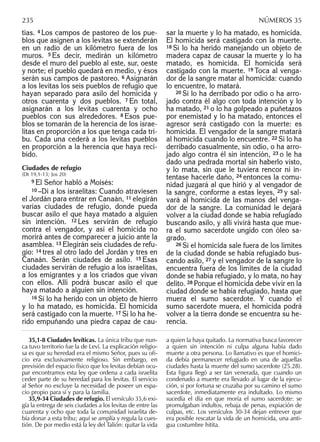 tias. 4 Los campos de pastoreo de los pue-
blos que asignen a los levitas se extenderán
en un radio de un kilómetro fuera de los
muros. 5 Es decir, medirán un kilómetro
desde el muro del pueblo al este, sur, oeste
y norte; el pueblo quedará en medio, y ésos
serán sus campos de pastoreo. 6 Asignarán
a los levitas los seis pueblos de refugio que
hayan separado para asilo del homicida y
otros cuarenta y dos pueblos. 7 En total,
asignarán a los levitas cuarenta y ocho
pueblos con sus alrededores. 8 Esos pue-
blos se tomarán de la herencia de los israe-
litas en proporción a los que tenga cada tri-
bu. Cada una cederá a los levitas pueblos
en proporción a la herencia que haya reci-
bido.
Ciudades de refugio
(Dt 19,1-13; Jos 20)
9 El Señor habló a Moisés:
10 –Di a los israelitas: Cuando atraviesen
el Jordán para entrar en Canaán, 11 elegirán
varias ciudades de refugio, donde pueda
buscar asilo el que haya matado a alguien
sin intención. 12 Les servirán de refugio
contra el vengador, y así el homicida no
morirá antes de comparecer a juicio ante la
asamblea. 13 Elegirán seis ciudades de refu-
gio: 14 tres al otro lado del Jordán y tres en
Canaán. Serán ciudades de asilo. 15 Esas
ciudades servirán de refugio a los israelitas,
a los emigrantes y a los criados que vivan
con ellos. Allí podrá buscar asilo el que
haya matado a alguien sin intención.
16 Si lo ha herido con un objeto de hierro
y lo ha matado, es homicida. El homicida
será castigado con la muerte. 17 Si lo ha he-
rido empuñando una piedra capaz de cau-
sar la muerte y lo ha matado, es homicida.
El homicida será castigado con la muerte.
18 Si lo ha herido manejando un objeto de
madera capaz de causar la muerte y lo ha
matado, es homicida. El homicida será
castigado con la muerte. 19 Toca al venga-
dor de la sangre matar al homicida: cuando
lo encuentre, lo matará.
20 Si lo ha derribado por odio o ha arro-
jado contra él algo con toda intención y lo
ha matado, 21 o lo ha golpeado a puñetazos
por enemistad y lo ha matado, entonces el
agresor será castigado con la muerte: es
homicida. El vengador de la sangre matará
al homicida cuando lo encuentre. 22 Si lo ha
derribado casualmente, sin odio, o ha arro-
jado algo contra él sin intención, 23 o le ha
dado una pedrada mortal sin haberlo visto,
y lo mata, sin que le tuviera rencor ni in-
tentase hacerle daño, 24 entonces la comu-
nidad juzgará al que hirió y al vengador de
la sangre, conforme a estas leyes, 25 y sal-
vará al homicida de las manos del venga-
dor de la sangre. La comunidad le dejará
volver a la ciudad donde se había refugiado
buscando asilo, y allí vivirá hasta que mue-
ra el sumo sacerdote ungido con óleo sa-
grado.
26 Si el homicida sale fuera de los límites
de la ciudad donde se había refugiado bus-
cando asilo, 27 y el vengador de la sangre lo
encuentra fuera de los límites de la ciudad
donde se había refugiado, y lo mata, no hay
delito. 28 Porque el homicida debe vivir en la
ciudad donde se había refugiado, hasta que
muera el sumo sacerdote. Y cuando el
sumo sacerdote muera, el homicida podrá
volver a la tierra donde se encuentra su he-
rencia.
35,1-8 Ciudades levíticas. La única tribu que nun-
ca tuvo territorio fue la de Leví. La explicación religio-
sa es que su heredad era el mismo Señor, pues su oﬁ-
cio era exclusivamente religioso. Sin embargo, en
previsión del espacio físico que los levitas debían ocu-
par encontramos esta ley que ordena a cada israelita
ceder parte de su heredad para los levitas. El servicio
al Señor no excluye la necesidad de poseer un espa-
cio propio para sí y para la familia.
35,9-34 Ciudades de refugio. El versículo 35,6 exi-
gía la entrega de seis ciudades a los levitas de entre las
cuarenta y ocho que toda la comunidad israelita de-
bía donar a esta tribu; aquí se amplía y regula la cues-
tión. De por medio está la ley del Talión: quitar la vida
a quien la haya quitado. La normativa busca favorecer
a quien sin intención ni culpa alguna había dado
muerte a otra persona. Lo llamativo es que el homici-
da debía permanecer refugiado en una de aquellas
ciudades hasta la muerte del sumo sacerdote (25.28).
Esta ﬁgura llegó a ser tan venerada, que cuando un
condenado a muerte era llevado al lugar de la ejecu-
ción, si por fortuna se cruzaba por su camino el sumo
sacerdote, inmediatamente era indultado. Lo mismo
sucedía el día en que moría el sumo sacerdote: se
promulgaban indultos, rebaja de penas, expiación de
culpas, etc. Los versículos 30-34 dejan entrever que
era posible rescatar la vida de un homicida, una anti-
gua costumbre hitita.
235 NÚMEROS 35
 