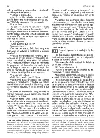 vido, y los hijos, y me marcharé; tú sabes lo
mucho que te he servido.
27 Labán le respondió:
–¡Por favor! He sabido por un oráculo
que el Señor me ha bendecido por tu cau-
sa. 28 Señala tu salario y te lo pagaré.
29 Le replicó:
–Tú sabes cómo te he servido y cómo le
ha ido al rebaño que me has conﬁado. 30 Lo
poco que antes tenías ha crecido inmensa-
mente porque el Señor te ha bendecido por
mi causa. Es hora de que haga algo tam-
bién por mi familia.
31 Le preguntó:
–¿Qué quieres que te dé?
Contestó Jacob:
–No me des nada. Sólo haz lo que te
digo, que yo volveré a pastorear y guardar
tu rebaño.
32 Pasaré hoy por todo el rebaño y apar-
ta todas las ovejas oscuras y todos los ca-
britos manchados; ése será mi salario.
33 Así mañana, cuando llegue el momento
de pagarme, mi honradez responderá por
mí: si llego a tener en mi poder algún ca-
brito no manchado o alguna cordera que no
sea oscura en mi poder serán robados.
34 Respondió Labán:
–Está bien, sea lo que tú dices.
35 El mismo día apartó todos los cabritos
rayados o manchados y todas las cabras
manchadas o con manchas blancas y todas
las corderas oscuras, y se las conﬁó a sus
hijos.
36 Labán se alejó unas tres jornadas de
camino mientras Jacob pastoreaba el resto
del rebaño de Labán.
37 Jacob tomó unas ramas verdes de
álamo, almendro y plátano, peló en ellas ti-
ras blancas descubriendo lo blanco de las
ramas, 38 y colocó las ramas peladas en los
bebederos. Allí era donde los machos se
unían con las hembras cuando venían a be-
ber. 39 Lo hacían frente a las varas y las ca-
bras parían crías rayadas o manchadas.
40 Jacob apartó las ovejas y las apareó con
machos oscuros o rayados y mantuvo se-
parado su rebaño sin mezclarlo con el de
Labán.
41 Cuando los animales más robustos
entraban en celo, colocaba las varas frente
al ganado en el bebedero, para que se apa-
reasen frente a las varas. 42 Cuando los ani-
males eran débiles, no lo hacía de modo
que los débiles eran para Labán y los ro-
bustos para Jacob. Y resultó que el ganado
débil le tocó a Labán, el robusto a Jacob.
43 De este modo se enriqueció muchísimo:
tenía muchos rebaños, siervos y siervas,
camellos y asnos.
Huida de Jacob
1 Jacob oyó decir a los hijos de La-
bán:
–Se ha llevado Jacob todas las propie-
dades de nuestro padre y se ha enriquecido
a costa de nuestro padre.
2 Observó Jacob la actitud de Labán y
ya no era la de antes.
3 El Señor dijo a Jacob:
–Vuelve a la tierra de tus padres, tu tie-
rra nativa, y estaré contigo.
4 Entonces Jacob mandó llamar a Raquel
y Lía al campo de sus ovejas. 5 Y les dijo:
–He observado la actitud de su padre, y
ya no es para mí como antes. Pero el Dios
de mi padre ha estado conmigo. 6 Ustedes
saben que he servido a mi suegro con todas
mis fuerzas; 7 pero él me ha defraudado
cambiándome el salario diez veces, aunque
Dios no le ha permitido perjudicarme. 8 Por-
que cuando decía que mi salario serían los
animales manchados, todas las ovejas los
parían manchados; y cuando decía que mi
salario serían los animales rayados, todas
las ovejas los parían rayados. 9 Dios le ha
quitado el ganado al padre de ustedes y me
lo ha dado a mí. 10 Una vez durante el perío-
do que el rebaño entra en celo, mirando en
un sueño vi que todos los machos que cu-
31
31,1-18 Huida de Jacob. Este nuevo movimiento
de Mesopotamia a Canaán es puesto una vez más en
línea con la voluntad divina. El Dios de Abrahán, que
es el actual Dios de Jacob, le ordena partir de nuevo
a tierra cananea (3.13b); Dios se le manifiesta a Ja-
cob como el mismo a quien el patriarca hizo un voto
en Betel (13a) y le promete su compañía y asistencia
permanentes. Jacob, por su parte, hace todo lo que
está a su alcance para que su partida no aparezca
como un rapto de las hijas de Labán ni un robo de
sus ganados (17s). Aunque se trata de una «orden»
divina, Jacob parte con su familia y con sus rebaños
de mañana, para evitar ser retenido por su suegro La-
bán.
61 GÉNESIS 31
 