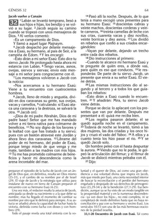 Jacob vuelve a Canaán
1 Labán se levantó temprano, besó a
sus hijos e hijas, los bendijo y se vol-
vió a su lugar. 2 Jacob seguía su camino
cuando se tropezó con unos mensajeros de
Dios. 3 Al verlos comentó:
–Es un campamento de Dios.
Y llamó a aquel lugar Majnaym.
4 Jacob despachó por delante mensaje-
ros a Esaú, su hermano, al país de Seír, a la
campiña de Edom. 5 Y les encargó:
–Esto dirán a mi señor Esaú: Esto dice tu
siervo Jacob: He prolongado hasta ahora mi
estancia con Labán. 6 Tengo vacas, asnos,
ovejas, siervos y siervas; envío este men-
saje a mi señor para congraciarme con él.
7 Los mensajeros volvieron a Jacob con
la noticia:
–Nos acercamos a tu hermano Esaú:
Viene a tu encuentro con cuatrocientos
hombres.
8 Jacob, lleno de miedo y angustia, divi-
dió en dos caravanas su gente, sus ovejas,
vacas y camellos, 9 calculando: si Esaú ata-
ca una caravana y la destroza, se salvará la
otra. 10 Jacob oró:
–¡Dios de mi padre Abrahán, Dios de mi
padre Isaac! Señor que me has mandado
volver a mi tierra nativa para colmarme de
beneﬁcios. 11 No soy digno de los favores y
la lealtad con que has tratado a tu siervo;
pues con un bastón atravesé este Jordán y
ahora llevo dos caravanas. 12 Líbrame del
poder de mi hermano, del poder de Esaú,
porque tengo miedo de que venga y me
mate, también a las madres con mis hijos.
13 Tú me has prometido colmarme de bene-
ﬁcios y hacer mi descendencia como la
arena incontable del mar.
32
14 Pasó allí la noche. Después, de lo que
tenía a mano escogió unos presentes para
su hermano Esaú: 15 doscientas cabras y
veinte machos, doscientas corderas y vein-
te carneros, 16 treinta camellas de leche con
sus crías, cuarenta vacas y diez novillos,
veinte borricas y diez asnos. 17 Los dividió
en rebaños que conﬁó a sus criados encar-
gándoles:
–Vayan por delante, dejando un trecho
entre cada dos rebaños.
18 Dio instrucciones al primero:
–Cuando te alcance mi hermano Esaú y
te pregunte de quién eres, a dónde vas,
para quién es eso que conduces, 19 le res-
ponderás: De parte de tu siervo Jacob, un
presente que envía a su señor Esaú. Él vie-
ne detrás.
20 Las mismas instrucciones dio al se-
gundo y al tercero y a todos los que guia-
ban los rebaños:
–Esto dirán a Esaú cuando lo encuen-
tren. 21 Y añadirán: Mira, tu siervo Jacob
viene detrás.
Porque se decía: lo aplacaré con los pre-
sentes que van por delante. Después me
presentaré a él: quizá me reciba bien.
22 Los regalos pasaron delante; él se
quedó aquella noche en el campamento.
23 Todavía de noche se levantó, tomó a las
dos mujeres, las dos criadas y los once hi-
jos y cruzó el vado del Yaboc. 24 A ellos y a
cuanto tenía los hizo pasar el río. 25 Y se
quedó Jacob solo.
Un hombre peleó con él hasta despuntar
la aurora. 26 Viendo que no le podía, le gol-
peó la articulación del fémur; y el fémur de
Jacob se dislocó mientras peleaba con él.
27 Dijo:
preparan el episodio de la lucha de Jacob con un án-
gel de Dios que, en deﬁnitiva, resulta ser Dios mismo
(25-31), y el cambio de su nombre por el de Israel
(29). El viaje de Jacob y la estrategia que utiliza para
instalarse de nuevo en tierra de Canaán preparan el
encuentro con su hermano Esaú (4-25).
Una vez más, el redactor resalta la astucia de Jacob,
anticipada ya desde su nacimiento y a la que debe su
nombre; mas ha llegado el momento de cambiar su
nombre por otro que le deﬁnirá para siempre. A su as-
tucia se añadirá ahora la capacidad de luchar hasta la
victoria, deﬁnida como lucha con dioses y con hom-
bres (29).
Todo el pasaje revela una total sintonía con la vo-
luntad y el querer de Dios, así como una gran obe-
diencia a esa voluntad divina que inspira en Jacob,
más que miedo por Esaú, una cierta necesidad interior
de buscar la reconciliación y el perdón del hermano
engañado y despojado de sus derechos de primogeni-
tura (25,29-34) y de la bendición (27,1-29). Esa ben-
dición, aunque ya se ha visto de un modo tangible en
la prosperidad material y en la numerosa descenden-
cia –ya son doce los hijos–, no está completa, ni se
completará de modo deﬁnitivo hasta que no haya re-
conciliación y paz con su hermano y vecino Esaú. Los
versículos 10-13 son una de las más hermosas oracio-
nes de la piedad israelita.
33,1-20 Encuentro de Jacob con Esaú. Tal como
GÉNESIS 32 64
 