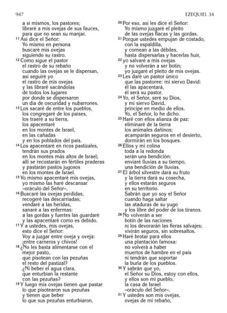 Biblia nuestro pueblo