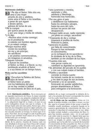 Biblia nuestro pueblo