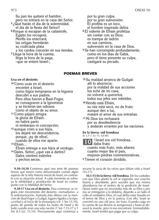 Biblia nuestro pueblo