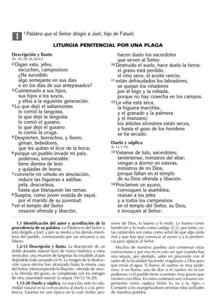 Biblia nuestro pueblo