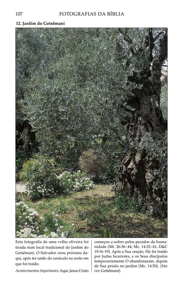 Biblia Sagrada 01.pdf