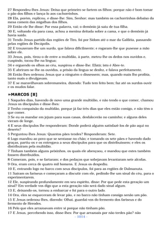 Biblia sagrada (port br)