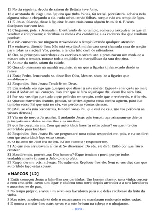 Biblia sagrada (port br)