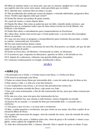 Biblia sagrada (port br)