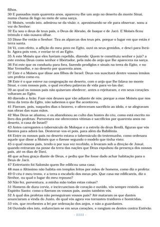 Biblia sagrada (port br)