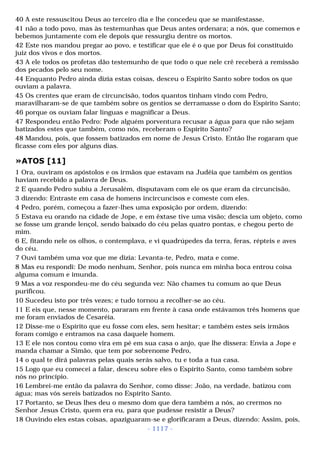 Biblia sagrada (port br)