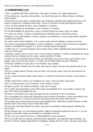 Biblia sagrada (port br)