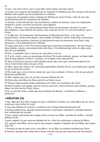 Biblia sagrada (port br)