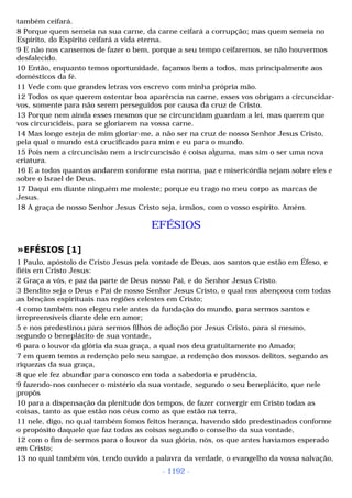 Biblia sagrada (port br)