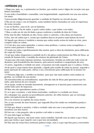 Biblia sagrada (port br)