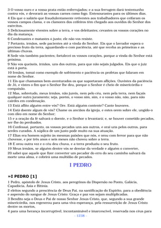 Biblia sagrada (port br)