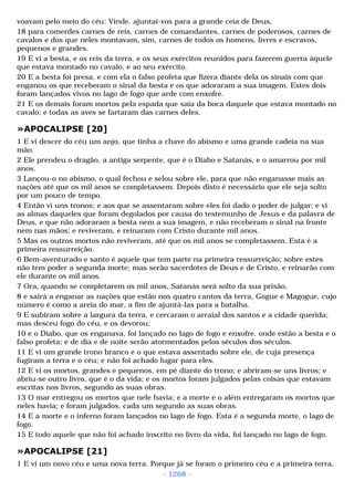 Biblia sagrada (port br)