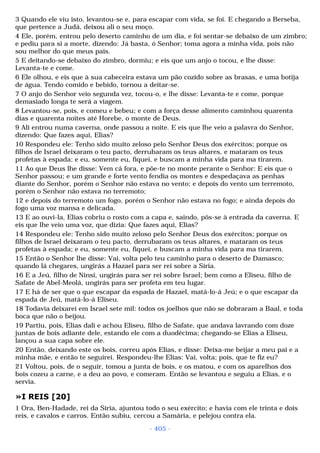 Biblia sagrada (port br)