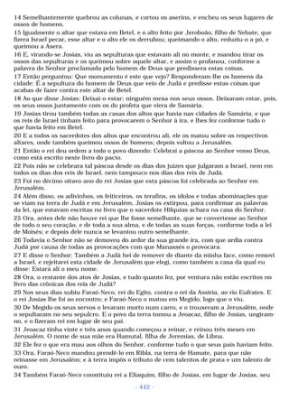 Biblia sagrada (port br)