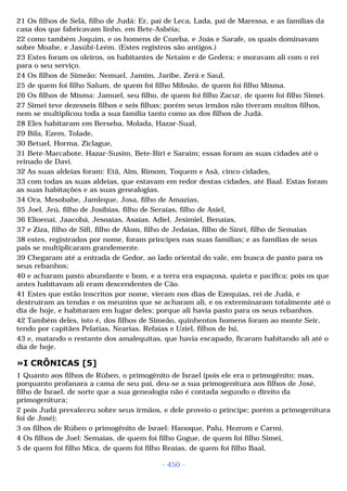 Biblia sagrada (port br)