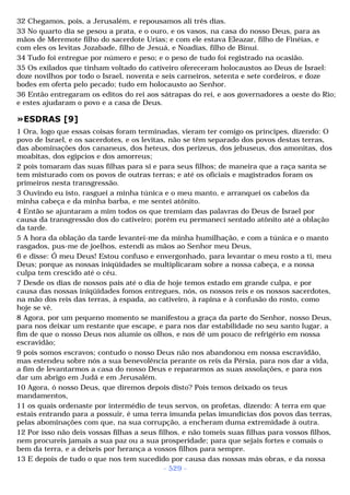 Biblia sagrada (port br)