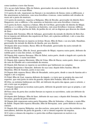 Biblia sagrada (port br)