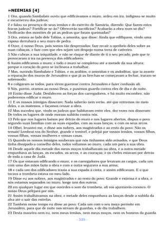 Biblia sagrada (port br)