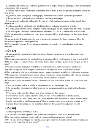 Biblia sagrada (port br)