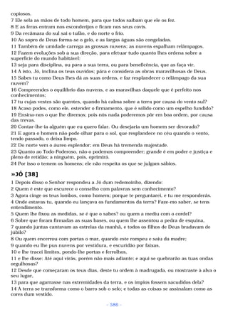 Biblia sagrada (port br)