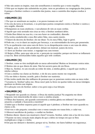 Biblia sagrada (port br)