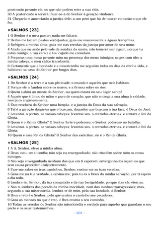 Biblia sagrada (port br)