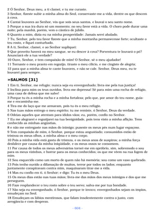 Biblia sagrada (port br)