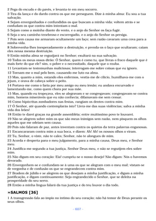 Biblia sagrada (port br)