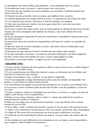 Biblia sagrada (port br)