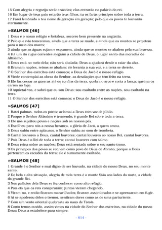 Biblia sagrada (port br)