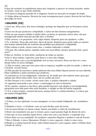 Biblia sagrada (port br)