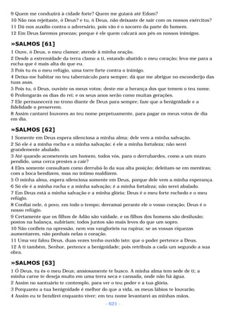 Biblia sagrada (port br)