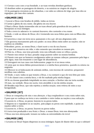 Biblia sagrada (port br)