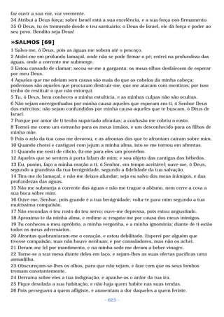 Biblia sagrada (port br)