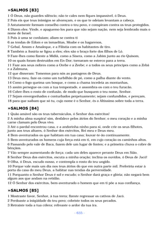 Biblia sagrada (port br)