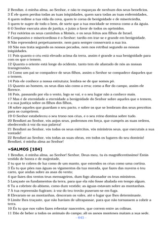 Biblia sagrada (port br)