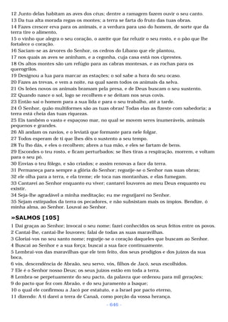 Biblia sagrada (port br)