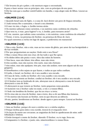 Biblia sagrada (port br)