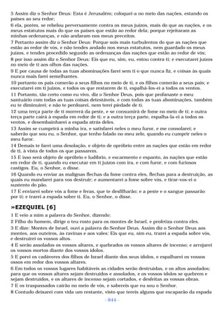 Biblia sagrada (port br)